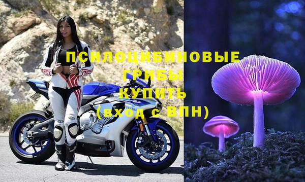 СК Беломорск
